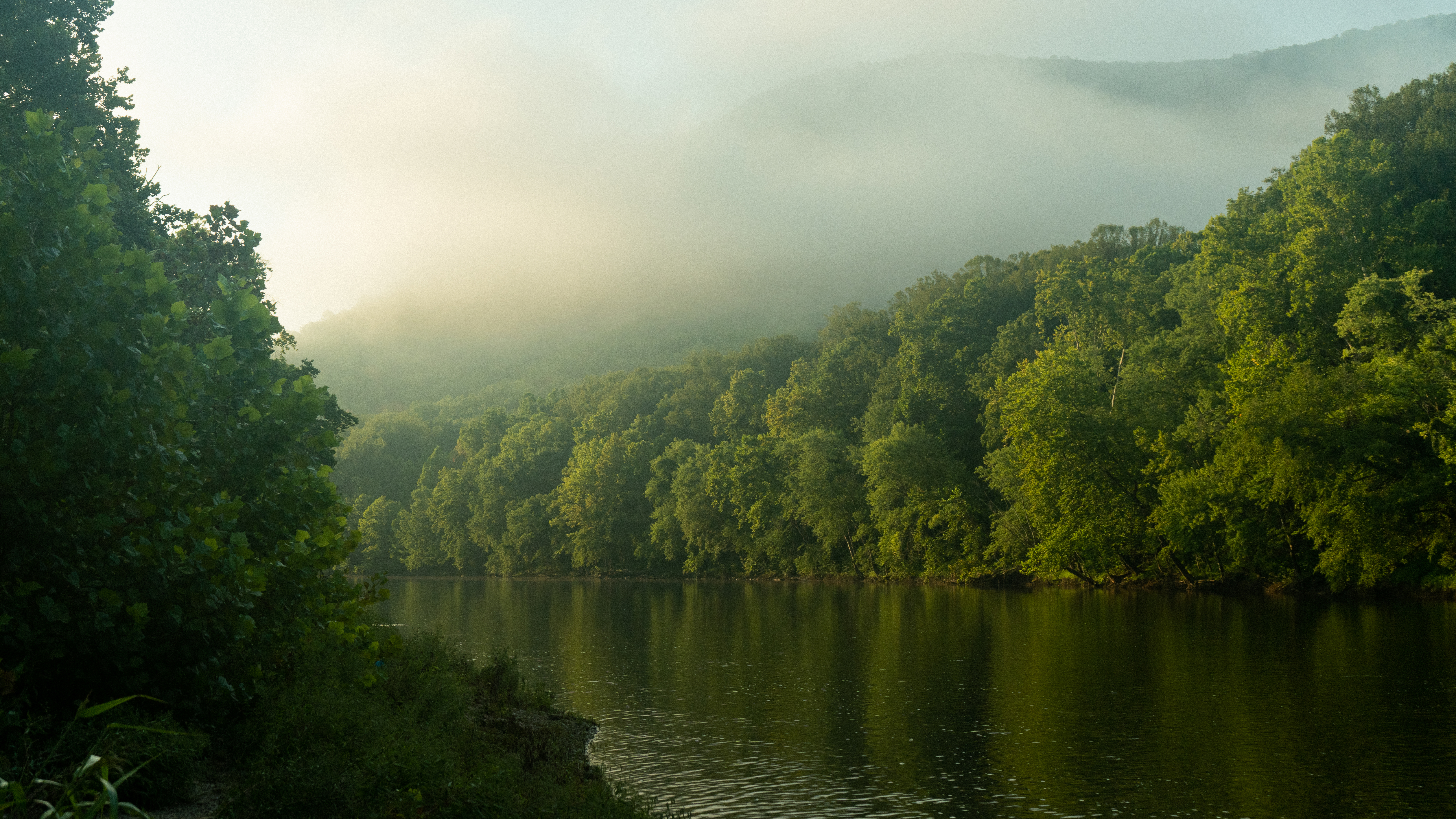 The program will also be available for streaming online.